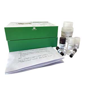 β-1,3葡聚糖酶(β-1,3-GA)测定试剂盒/分光光度法/24样