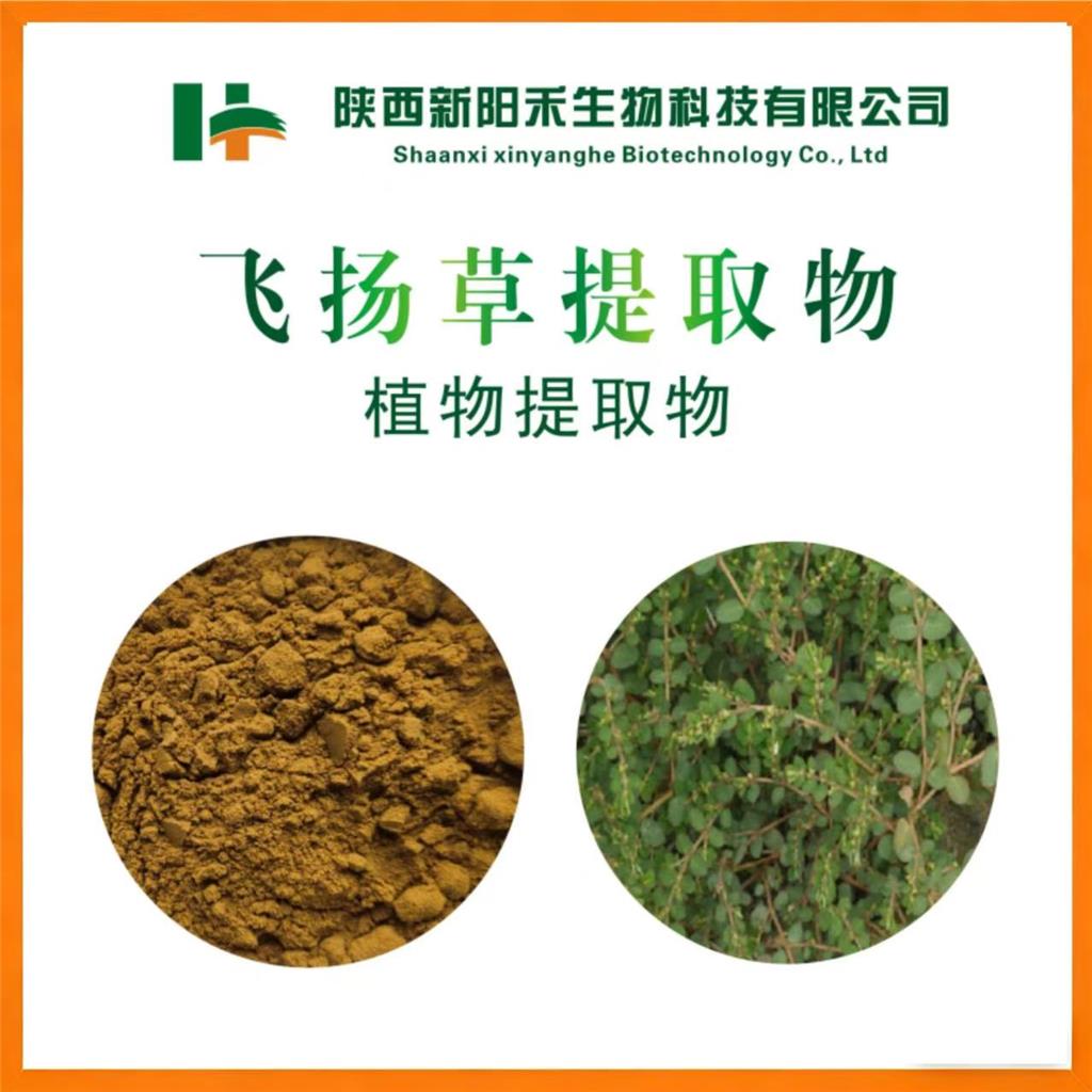 飞扬草提取物