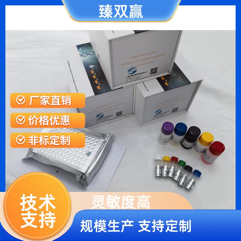 人白细胞介素11(IL-11)ELISA试剂盒