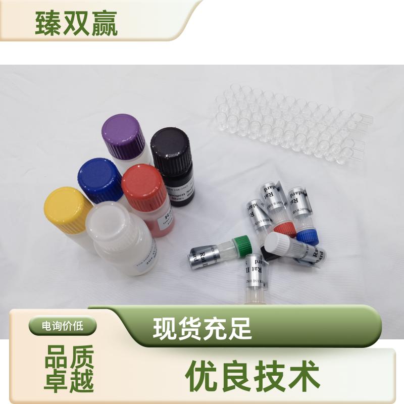 人磷酸化外纺锤体极样蛋白1(ESPL1)ELISA试剂盒