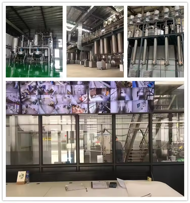 藤茶二氢杨梅素提取物