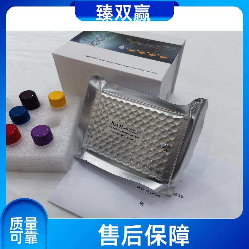 人过氧化物酶体生物合成因子16(PEX16)ELISA试剂盒