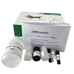 阿魏酸酯酶(FAE)试剂盒-405nm-显色法微板法/96样