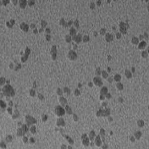 PEG1000-MAL修饰四氧化三铁磁性纳米颗粒10nm
