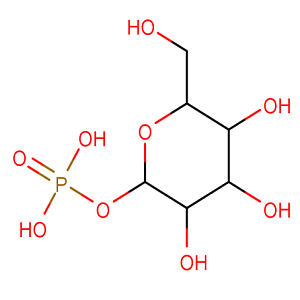 L-半乳糖-1-磷酸，L-galactose 1-phosphate