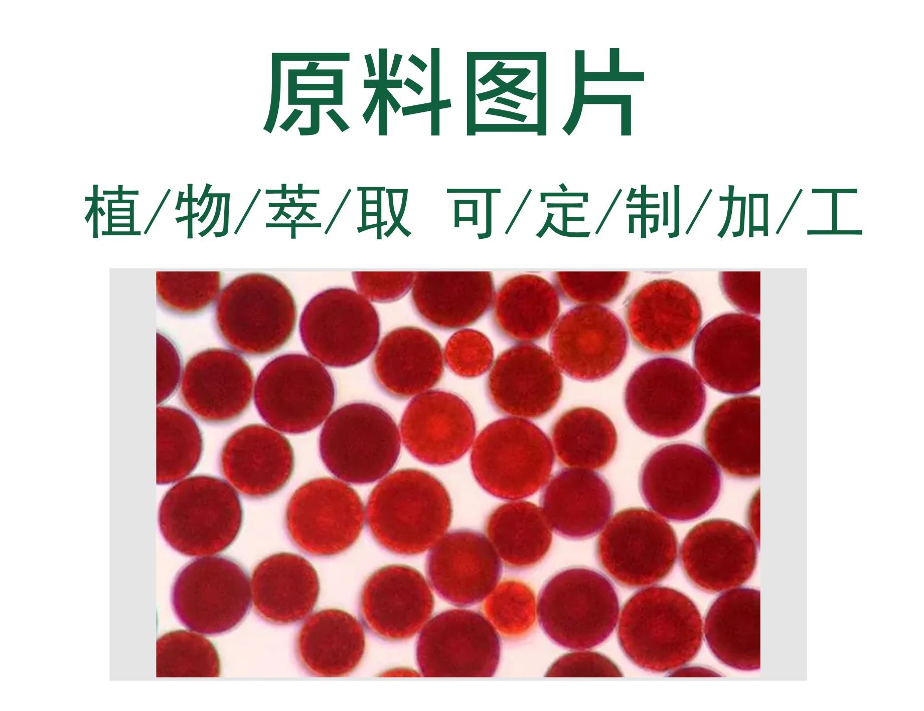 雨生红球藻1.jpg 雨生红球藻1.jpg