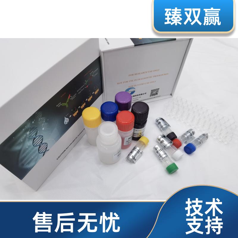 人趋化因子配体27(CCL27)ELISA试剂盒