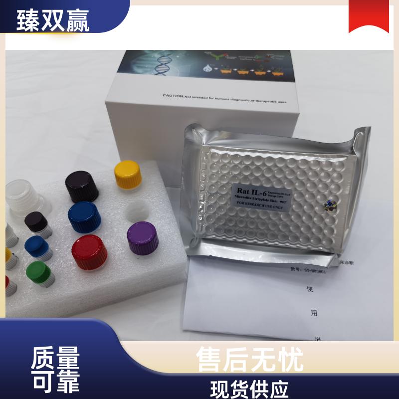 人白细胞激活黏附因子(ALCAM)ELISA试剂盒