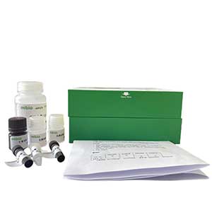 超氧阴离子清除能力测定试剂盒/微量法/96S