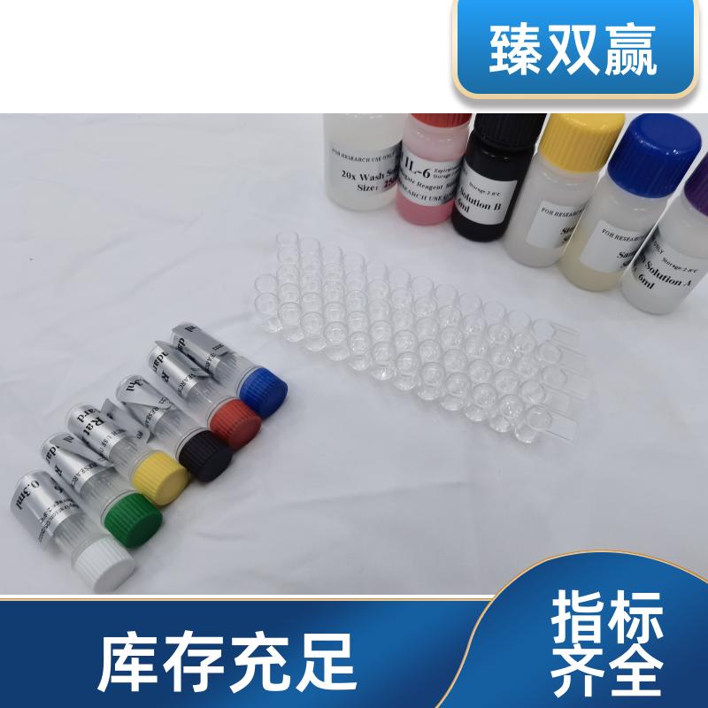 人接触蛋白1(CNTN1)ELISA试剂盒