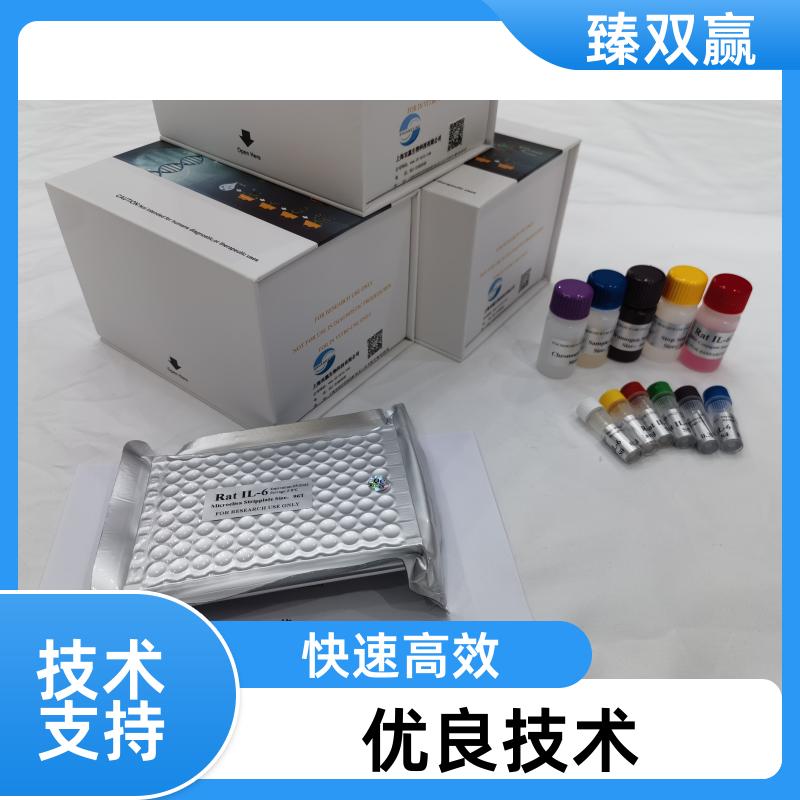 人干扰素诱导蛋白2(IFIT2)ELISA试剂盒