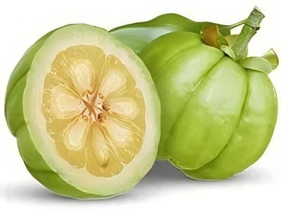  藤黄果提取物    羟基柠檬酸