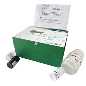 水样中汞离子(Hg2+)浓度测定试剂盒/分光光度法/48样