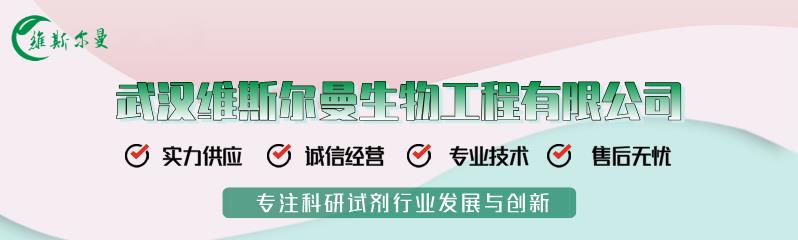 维斯尔曼单独banner_新闻用.png 维斯尔曼单独banner_新闻用.png