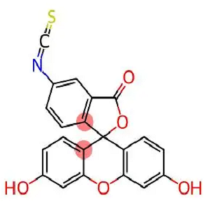 FITC-D-Arginine，FITC-D精氨酸