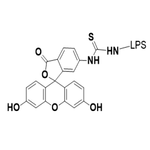 FITC-LPS，异硫氰酸荧光素标记脂多糖?
