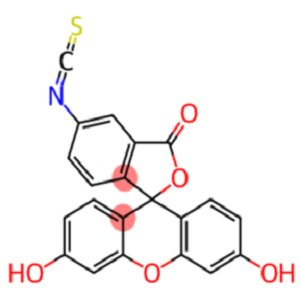 FITC-β-Cyclodextrin，FITC-β-环糊精，FITC-CD