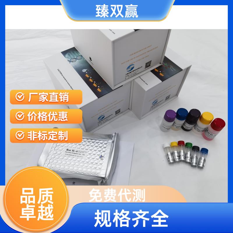 人ATP结合盒亚家族G成员2(ABCG2)ELISA试剂盒