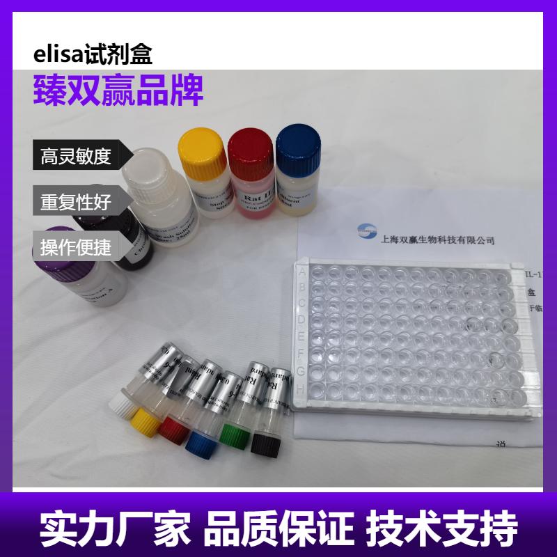 人A激酶PRKA锚定蛋白12(Akap 12)ELISA试剂盒