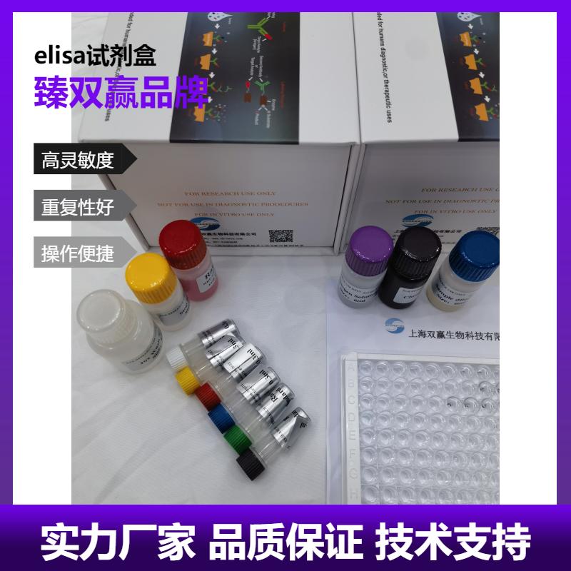 人钠/钾离子转运ATP酶α1肽(ATP1α1)ELISA试剂盒