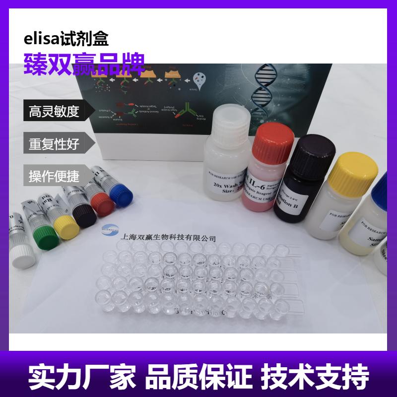 人肌动蛋白相关蛋白2(ACTR2)ELISA试剂盒