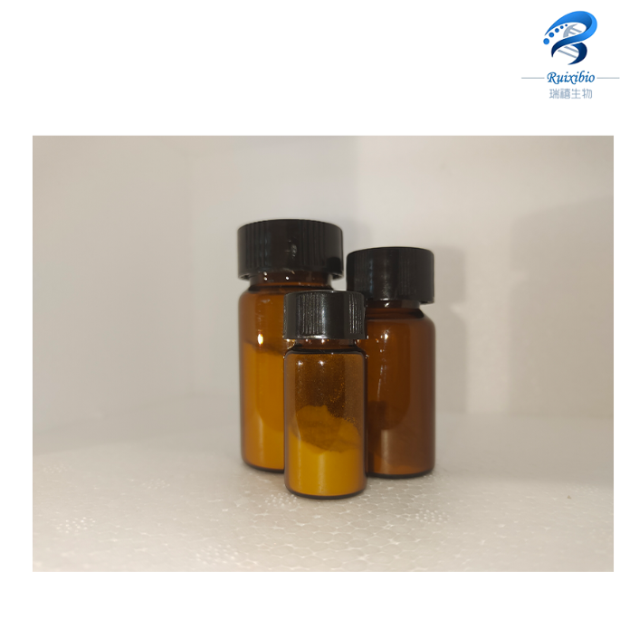 PEI修饰树枝状介孔二氧化硅纳米颗粒 PEI-Modified DMSNs