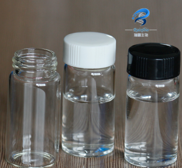 PEI修饰树枝状介孔二氧化硅纳米颗粒 PEI-Modified DMSNs