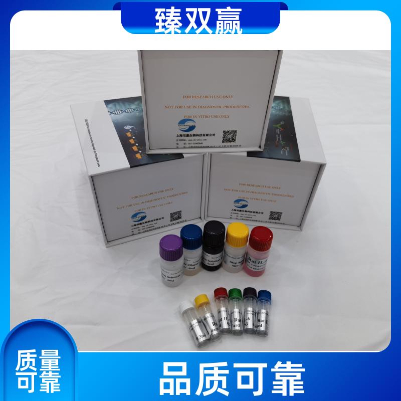 人肌动蛋白相关蛋白2(ACTR2)ELISA试剂盒