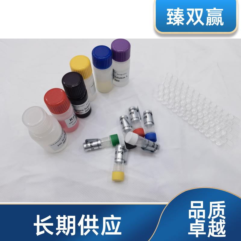 人羧化不全骨钙素(ucOC)ELISA试剂盒