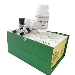 Mg2+- ATP 酶试剂盒微板法/48样