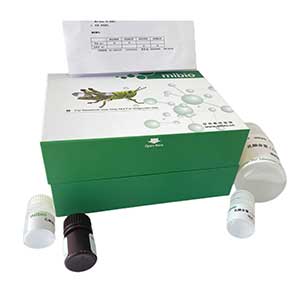 尿微量白蛋白(MALB)含量测定试剂盒(免疫比浊法)微板法/48样