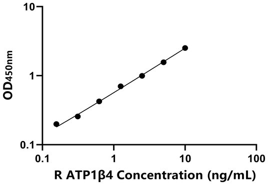 ATP1β4 ELISA KIT / 大鼠钠/钾离子转运ATP酶β4肽 ELISA试剂盒