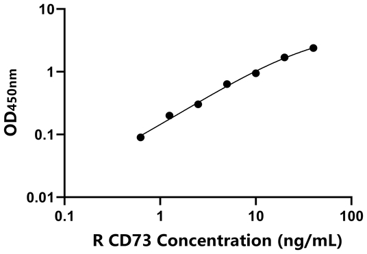 CD73 ELISA KIT / 大鼠CD73分子 ELISA试剂盒