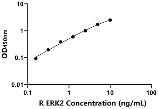 ERK2 ELISA KIT / 大鼠细胞外信号调节激酶2 ELISA试剂盒  