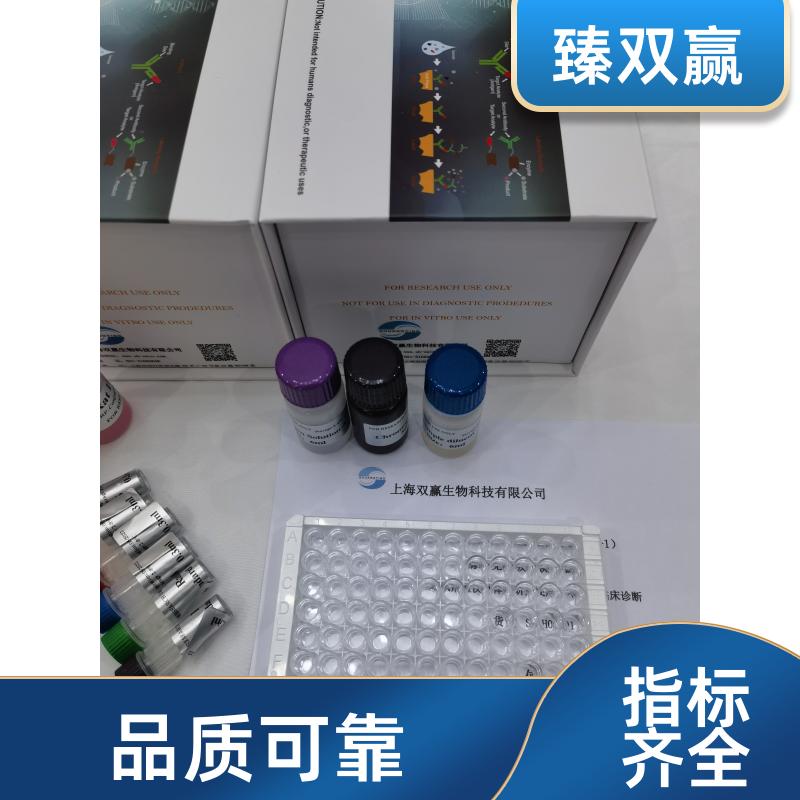 人分泌型免疫球蛋白A(sIgA)ELISA试剂盒