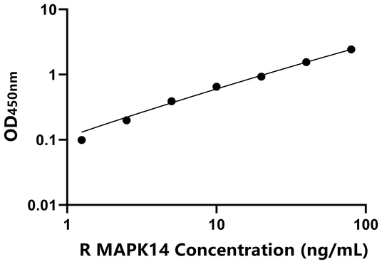 MAPK14 ELISA KIT / 大鼠丝裂原激活蛋白激酶14 ELISA试剂盒