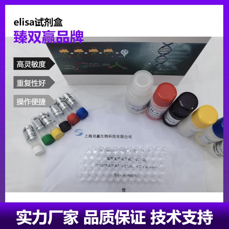 人骨粘连蛋白(ON)ELISA试剂盒