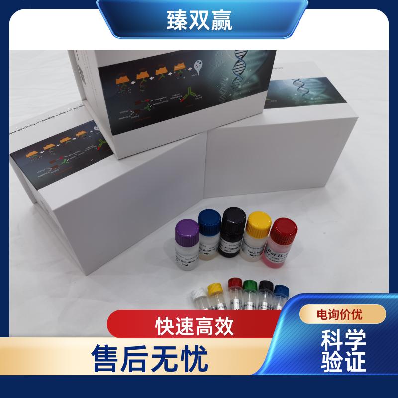 人溶质载体家族30成员3(SLC30A3)ELISA试剂盒