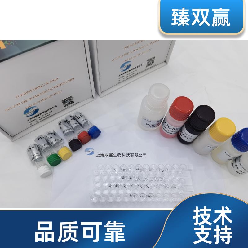 人生长相关蛋白43(GAP-43)ELISA试剂盒