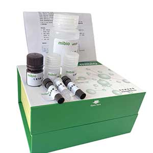 氧化型/脱氢抗坏血酸(DHA)含量测定试剂盒/微量法/96S