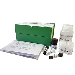 超微量Na+K+、Ca2+Mg2+－ATP酶(测红细胞)测定试剂盒150管/50样