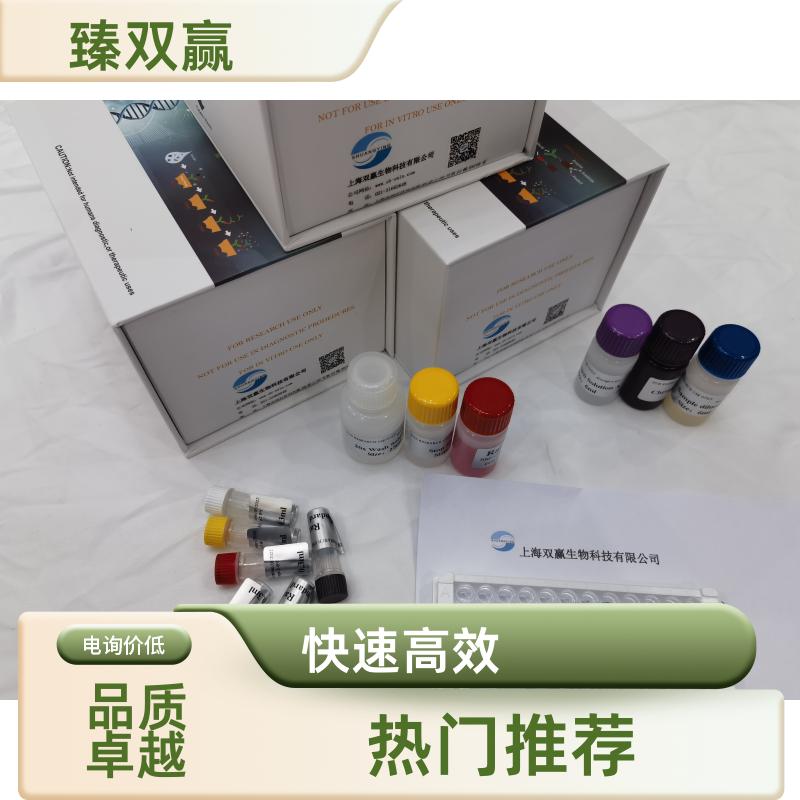 人骨成型蛋白4(BMP4)ELISA试剂盒