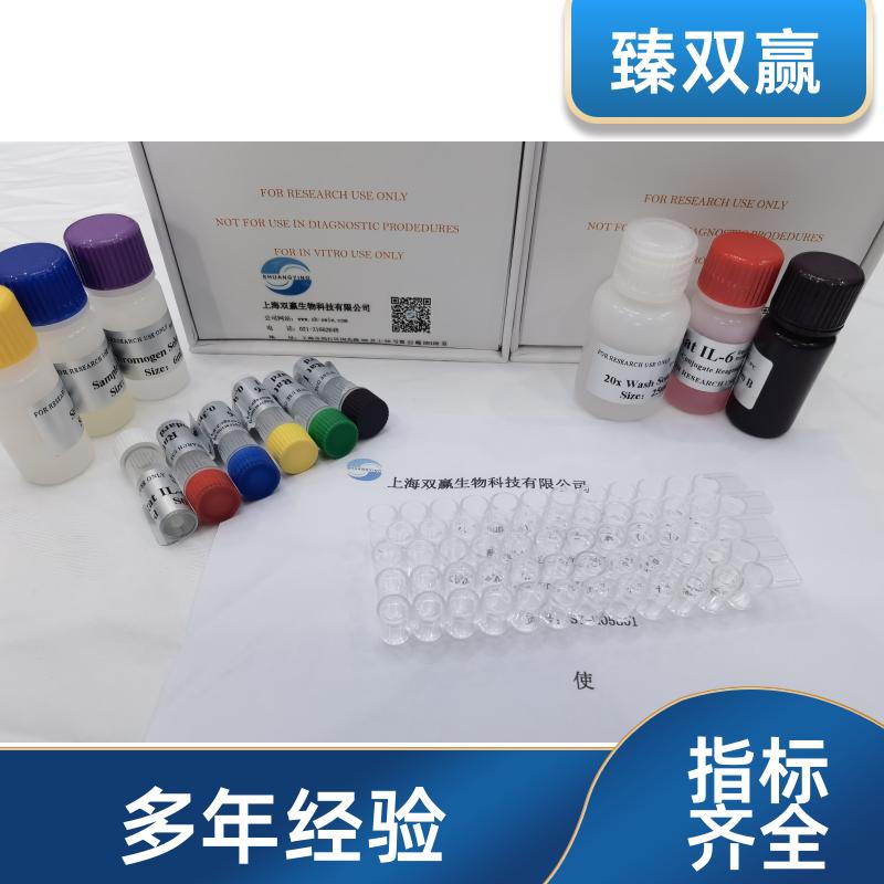 人白细胞介素13(IL-13)ELISA试剂盒