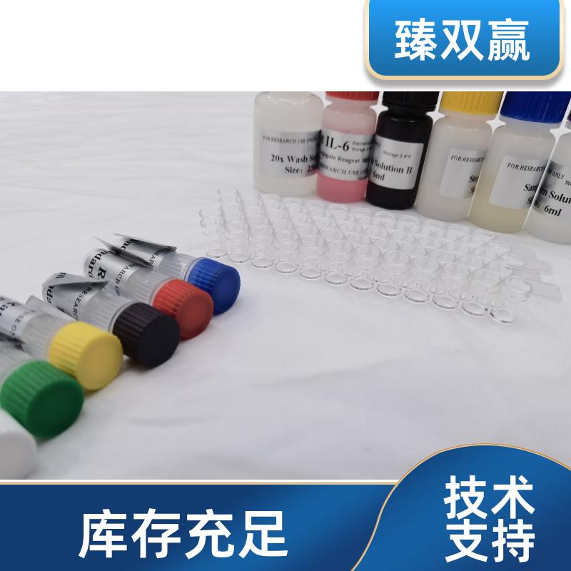 人CXC趋化因子配体16(CXCL16)ELISA试剂盒