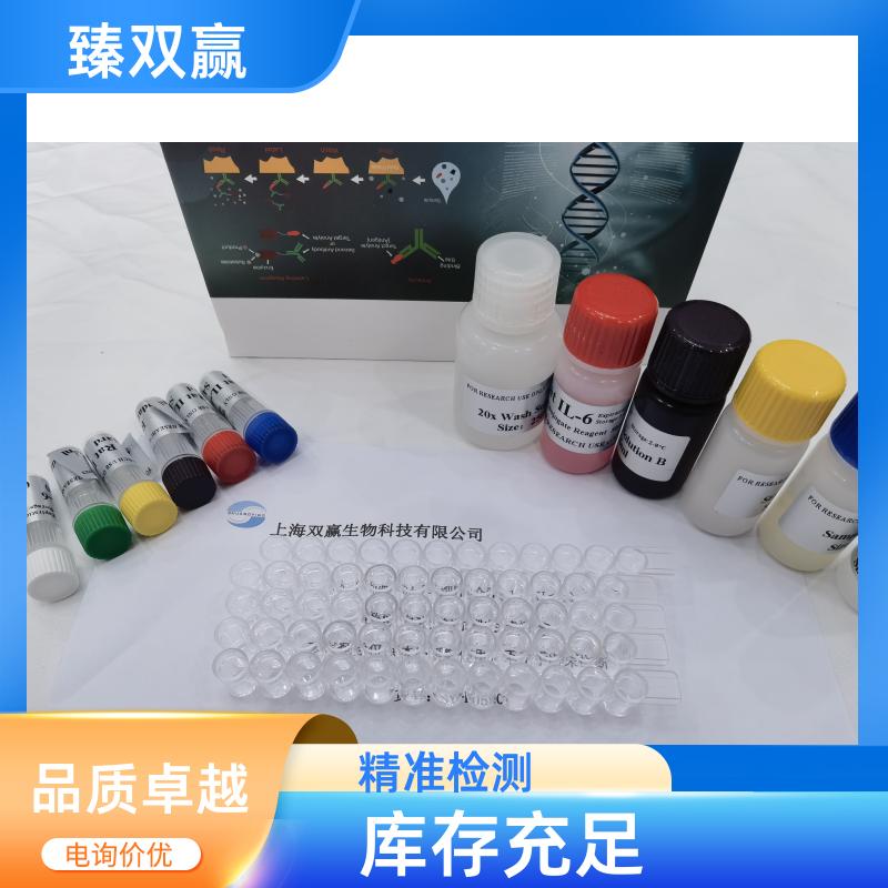 人基质金属蛋白酶抑制因子3(TIMP-3)ELISA试剂盒