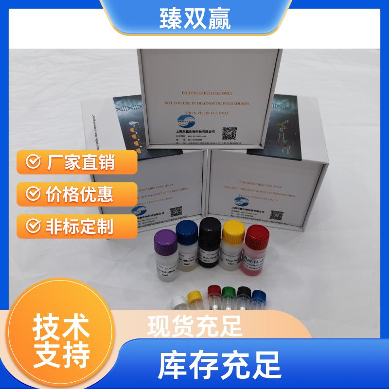 人P糖蛋白;渗透性糖蛋白(P-gp)ELISA试剂盒