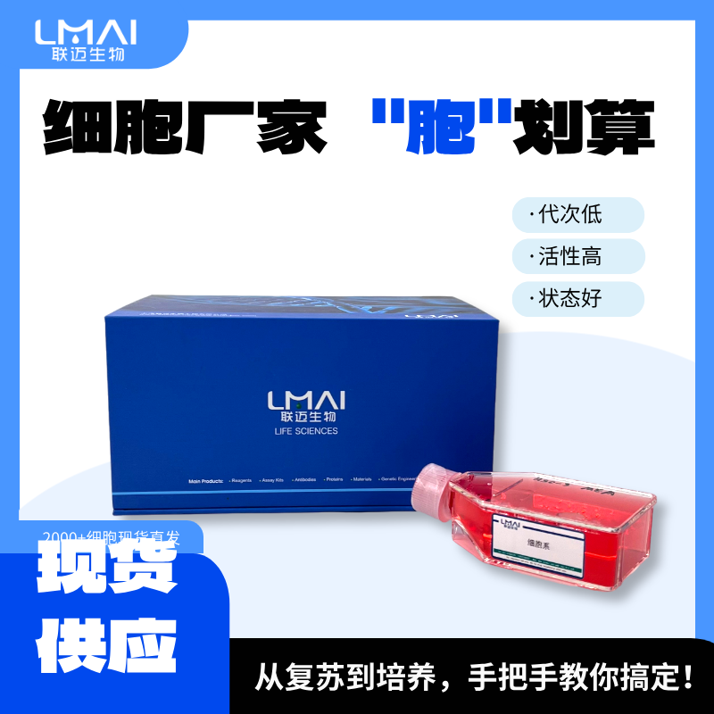 SK-N-BE2细胞（神经母细胞瘤细胞STR鉴定正确）LM8C0441