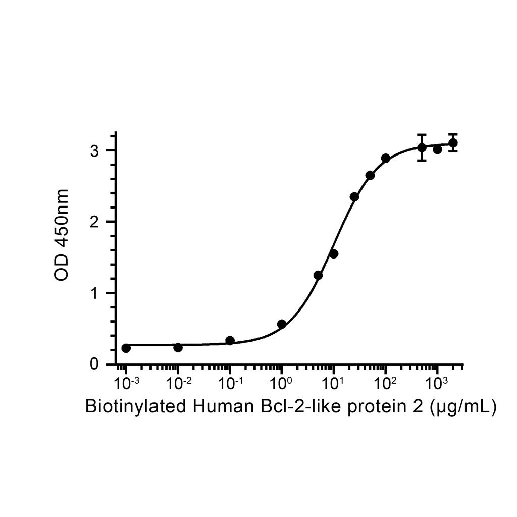 Bcl-2-like蛋白 2蛋白, Human (His)