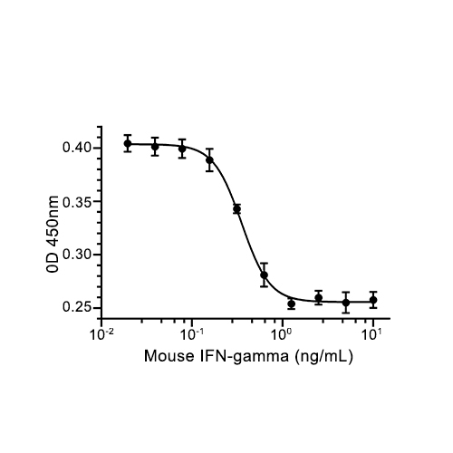 IFN-gamma蛋白, Mouse (HEK293)