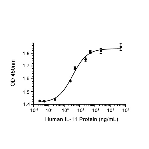 IL-11蛋白, Human (P.pastoris)